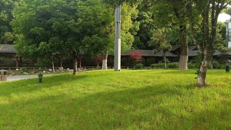 绿植租摆公司哪家好