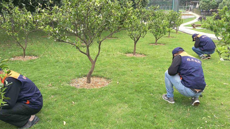 边坡喷播植草，如何制定合理价格预算表？**