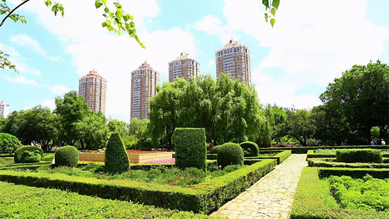 庭院四季常绿，如何巧妙搭配植物？**