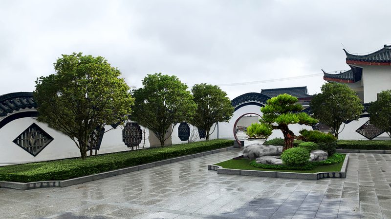 果树苗木种植技术：从选苗到养护的关键步骤**
