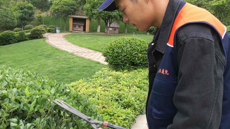 园林绿化工程养护期的关键考量**