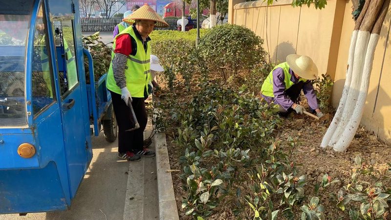 市政绿化工程公司：经营范围与关键考量**