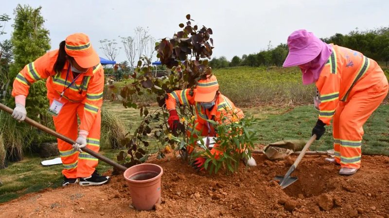 商业庭院绿化设计规范要求解析
