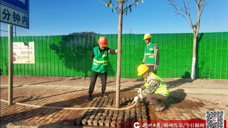 假山喷泉，如何选购？揭秘厂家直销价格背后的秘密**