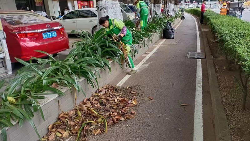 道路绿化带排水设计：优缺点解析