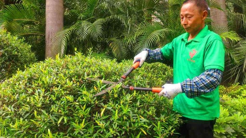公园草坪防杂草铺设流程解析**