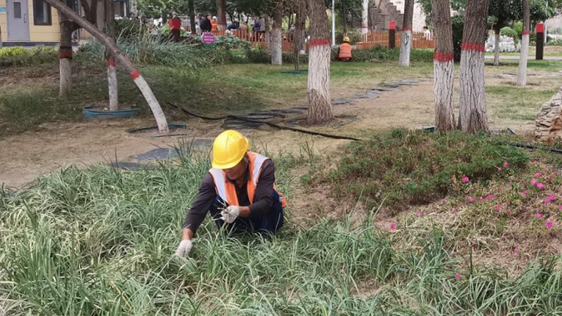 园林绿化工程公司定制服务：满足个性化需求的解决方案