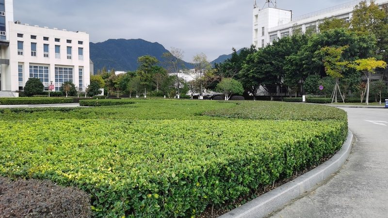 小区道路绿化效果图，如何精准估算成本？**