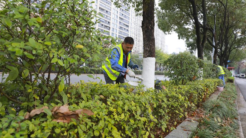 北京大型绿植租赁规格