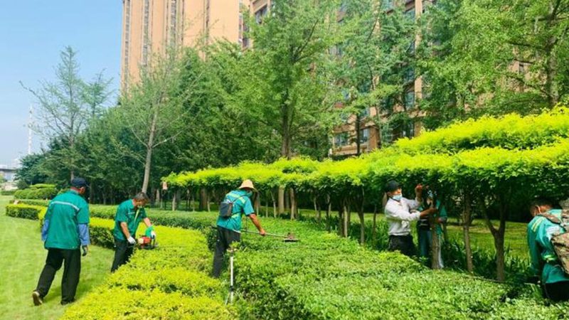 冬季绿化养护保温带规格型号解析